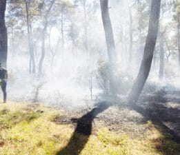 Pınarlıbelen’de orman yangını