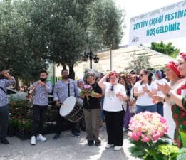 Zeytin Çiçeği Festivali Başladı