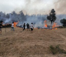 Anız Yangınlarına Karşı Uyarı