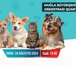 Bodrum Sokak Hayvanları Yararına Müzayede