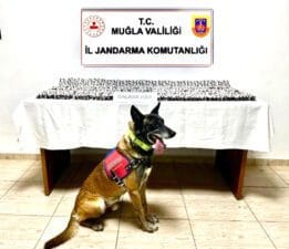 Piyasaya Sürülmeden Yakalandı