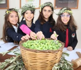 Zeytin Ağaçlarının Gölgesinde Barış ve Dostluk Buluşması