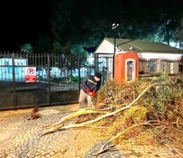Bodrum’da fırtınanın etkisi sürüyor