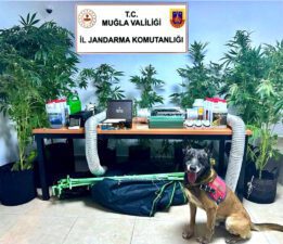Kızılağaç’ta Jandarmadan uyuşturucu operasyonu
