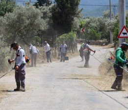 Bodrum’da Ot Temizliği ve Budama Çalışmaları