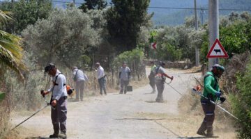 Bodrum’da Ot Temizliği ve Budama Çalışmaları