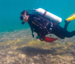 Deniz Dibi Temizliği Turgutreis’te Devam Etti