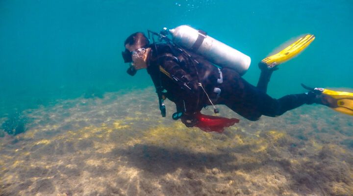 Deniz Dibi Temizliği Turgutreis’te Devam Etti