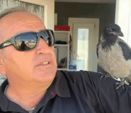 Limanın maskotu “Rıfkı”