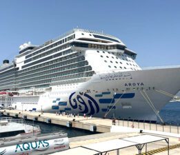 Aroya, yeniden Bodrum’da