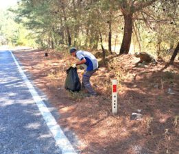 Ormanlık bölgelerde temizlik çalışması