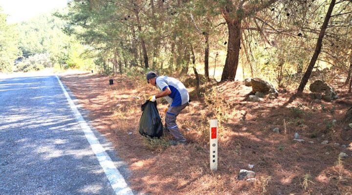 Ormanlık bölgelerde temizlik çalışması