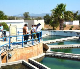 MUSKİ, Bodrum’da 1 Milyon 600 Bin Metreküp Suyu Geri Kazandı