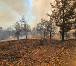 Milas ve Köyceğiz’de Alevlerle Mücadele