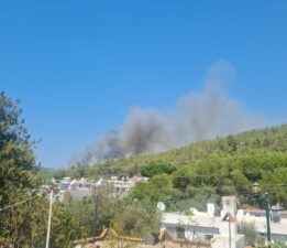 Güvercinlik’te orman yangını kontrol altında