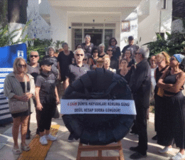 Bodrum Belediyesinden hayvanseverlerin siyah çelenkli eylemine yanıt gecikmedi