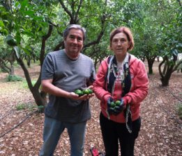 Tek Seferde 55 Tonluk Sipariş