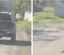 Muğla Valiliğinden Kamuoyuna Açıklama: GEREĞİ YAPILDI