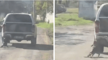 Muğla Valiliğinden Kamuoyuna Açıklama: GEREĞİ YAPILDI