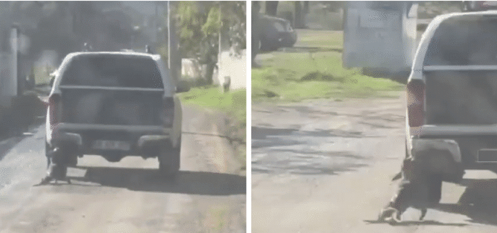 Muğla Valiliğinden Kamuoyuna Açıklama: GEREĞİ YAPILDI