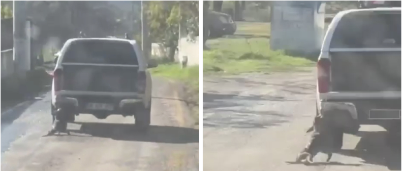 Muğla Valiliğinden Kamuoyuna Açıklama: GEREĞİ YAPILDI