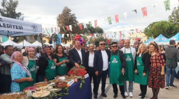 Kardeş Kentte Zeytin Hasat Şenliği