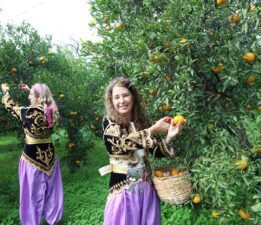 Bodrum Mandalin Festivali 21 Aralık’ta Bitez’de