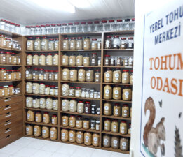 Muğla’dan 81 İle 22 Milyon Yerel Tohum Desteği