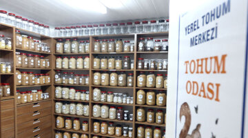 Muğla’dan 81 İle 22 Milyon Yerel Tohum Desteği