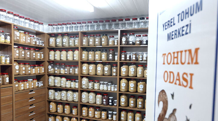 Muğla’dan 81 İle 22 Milyon Yerel Tohum Desteği