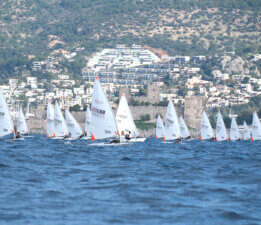 5. Mandalin Kupasına 4 ülkeden 270 sporcu katılacak