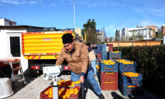 Bodrum Mandalini Türkiye’nin Dört Bir Yanına Ulaşıyor