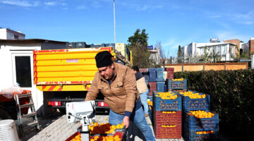 Bodrum Mandalini Türkiye’nin Dört Bir Yanına Ulaşıyor