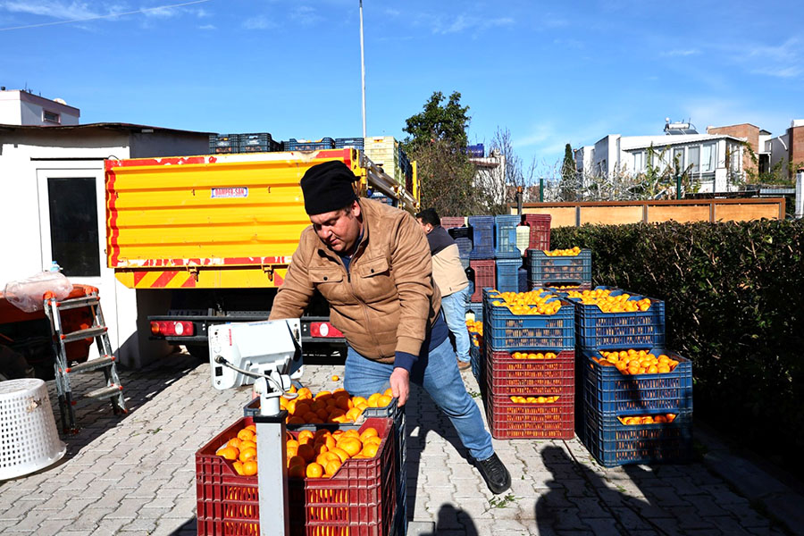 Bodrum Mandalini Türkiye’nin Dört Bir Yanına Ulaşıyor