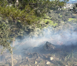 Temizlik ateşi yangın çıkardı