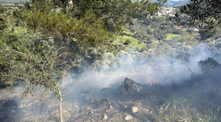 Temizlik ateşi yangın çıkardı