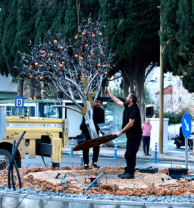 Müskebi’de Kavşağa mandalin ağacı figürü