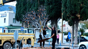 Müskebi’de Kavşağa mandalin ağacı figürü