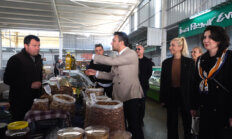 Seha Ergene sahada sorunları dinliyor