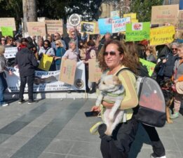 Bodrum’dan Hayvan Hakları Tepkisi