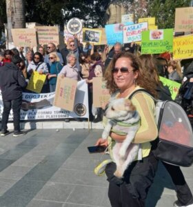 Bodrum’dan Hayvan Hakları Tepkisi