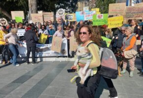 Bodrum’dan Hayvan Hakları Tepkisi