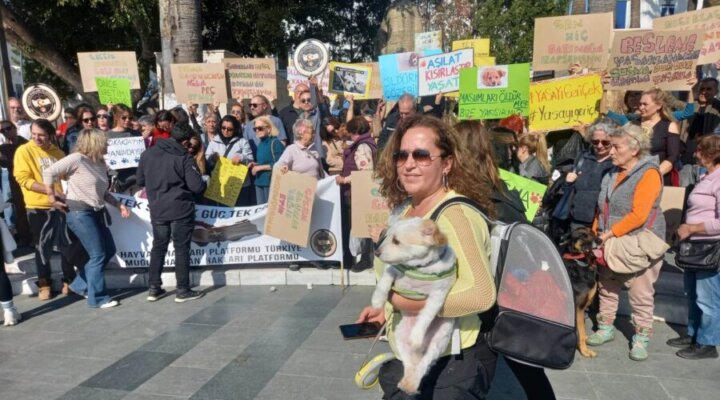 Bodrum’dan Hayvan Hakları Tepkisi