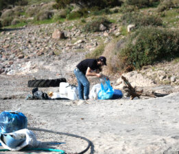 Tilkişen toplamaya gittiler, koyu temizlediler