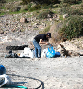 Tilkişen toplamaya gittiler, koyu temizlediler