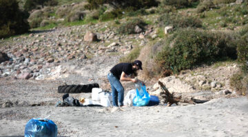 Tilkişen toplamaya gittiler, koyu temizlediler