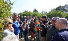 Vatandaşa Ağaç Budama Eğitimi