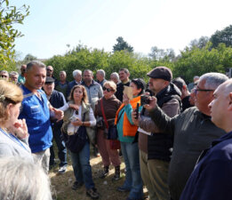 Vatandaşa Ağaç Budama Eğitimi