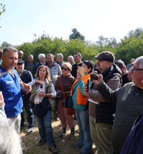 Vatandaşa Ağaç Budama Eğitimi