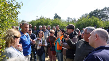 Vatandaşa Ağaç Budama Eğitimi